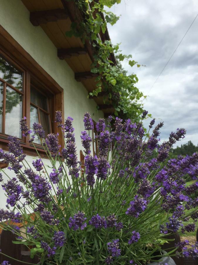 Bed and Breakfast Dom Rodziny Sojkow Białka Tatrzańska Exteriér fotografie